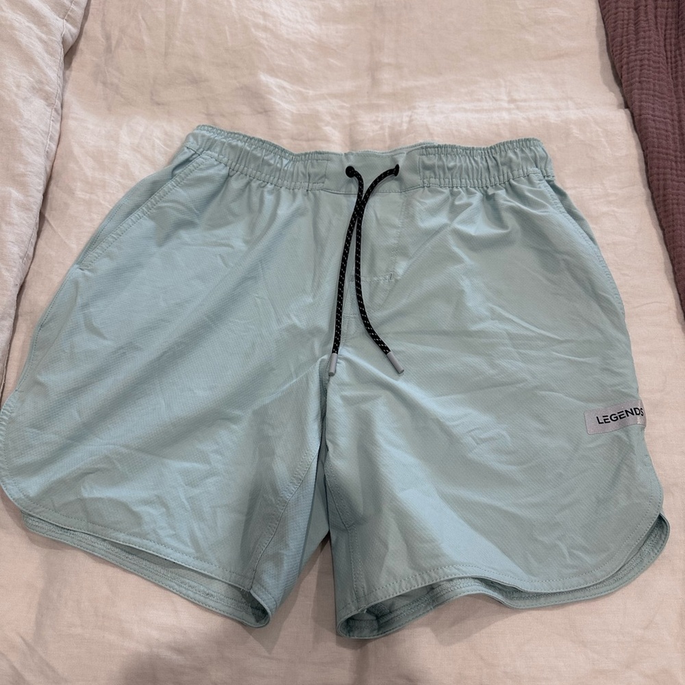 Legend Luka Mens Shorts No Liner - Mint
